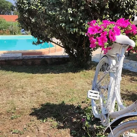 Apartament In Stone For Two With A Shared Pool *