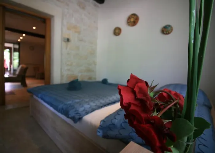 In Stone For Two With A Shared Pool Rovinjsko Selo